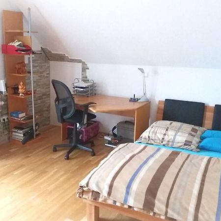 Neue, Helle Wohnung In Ludwigsburg, Nah Am Schloss Ngoại thất bức ảnh